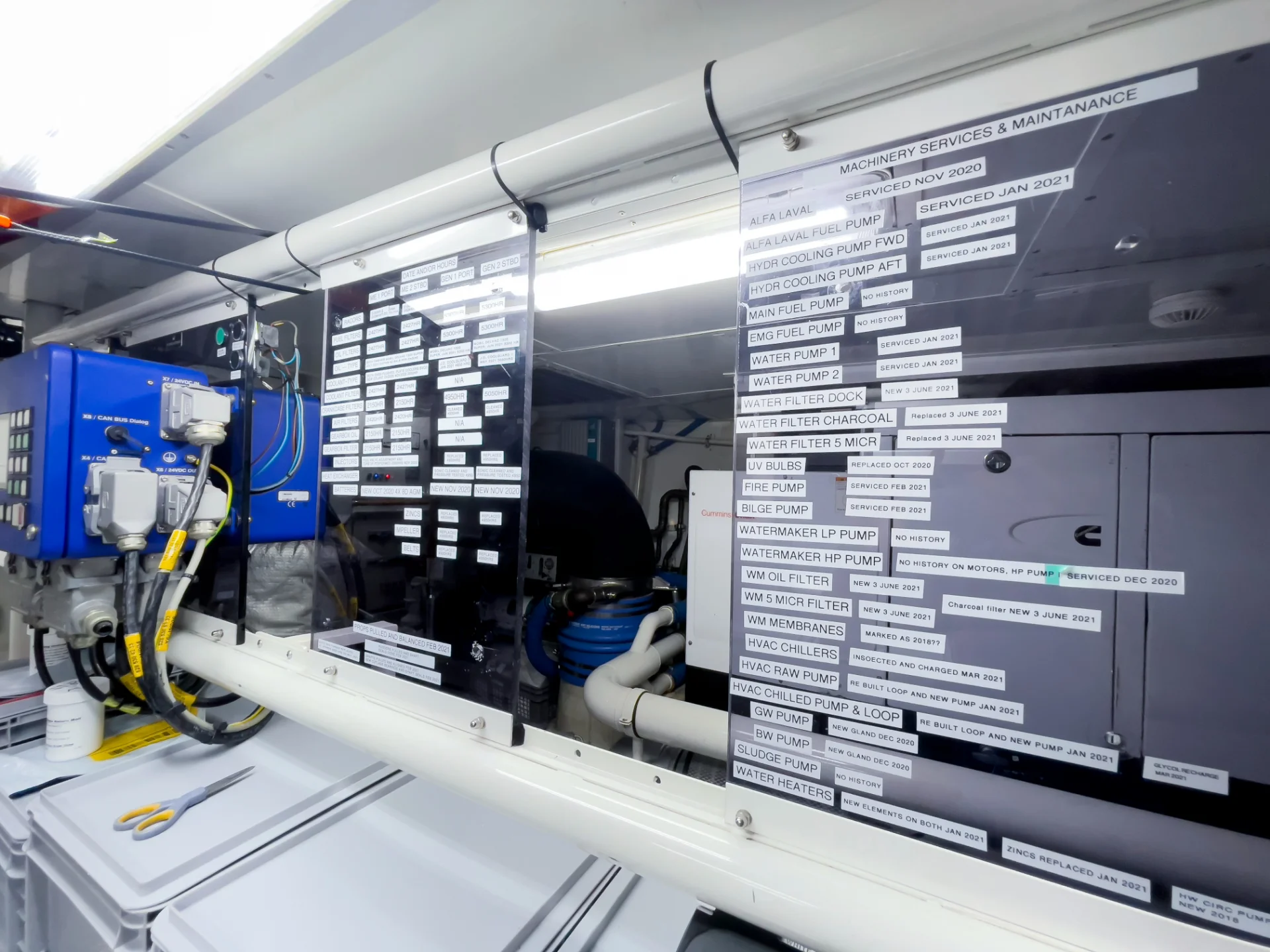 CASUAL | Dominator 100 - Dominator