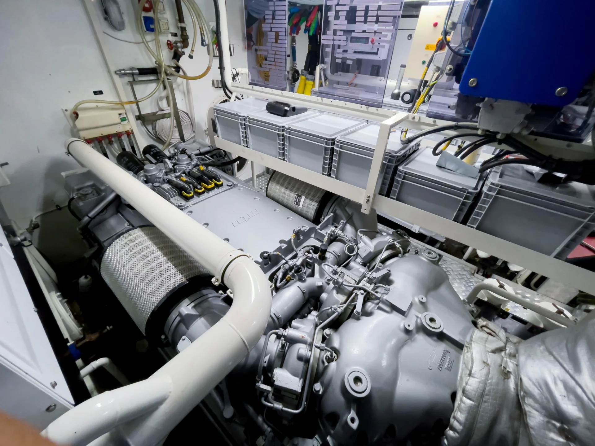 CASUAL | Dominator 100 - Dominator