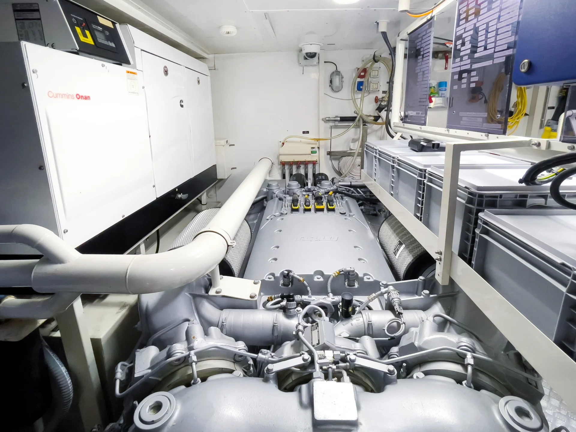 CASUAL | Dominator 100 - Dominator