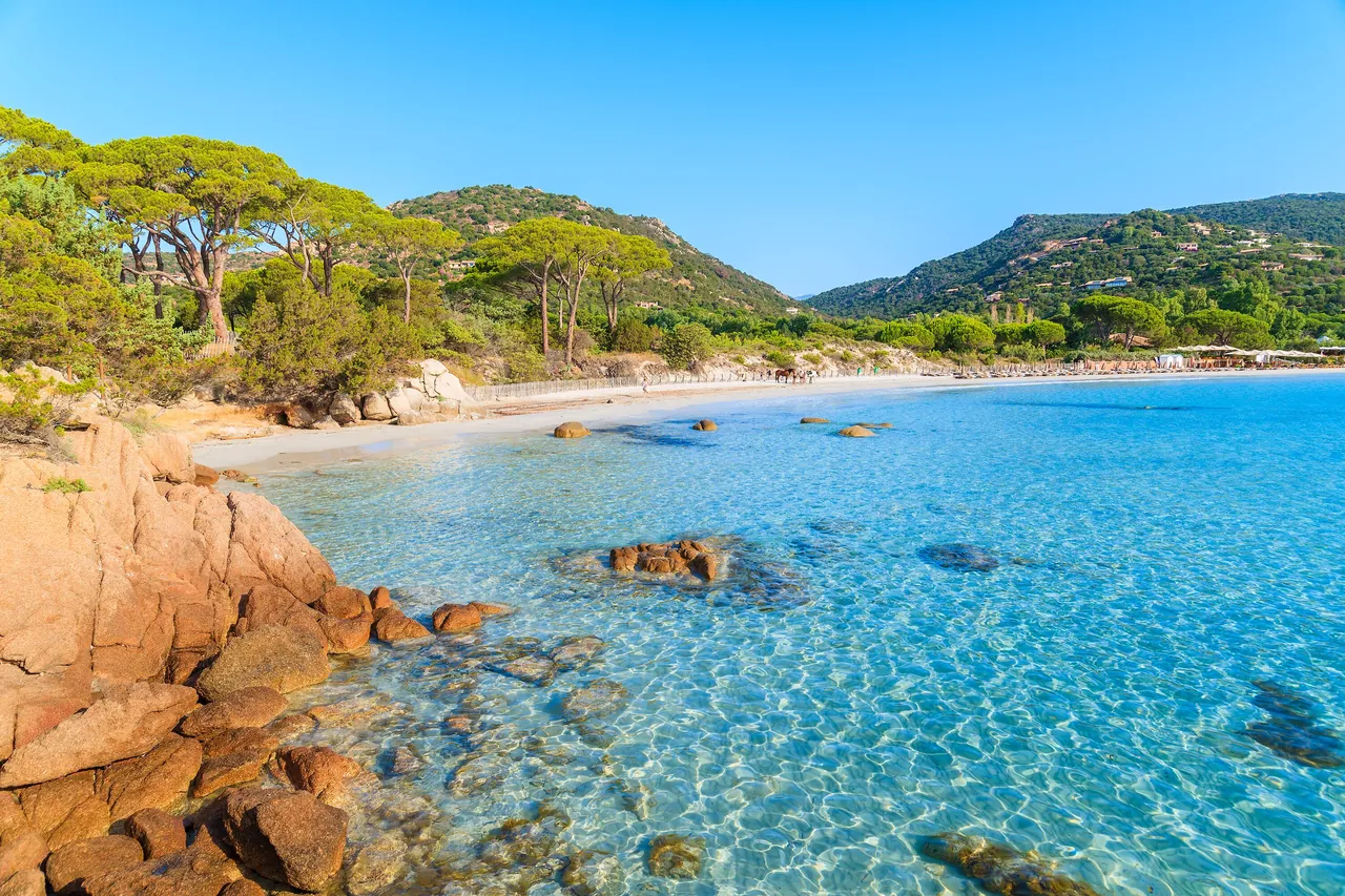 Palombaggia Beach in Corsica with turquoise water, red rocks and umbrella pines.