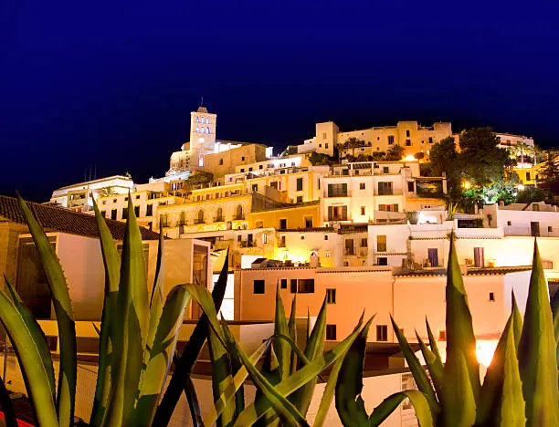 Illuminated Dalt Vila and cathedral at night behind agave plants in Ibiza, Spain.