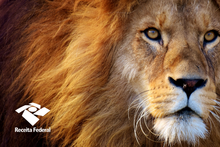 Imposto de Renda 2025: Tudo o que Você Precisa Saber
