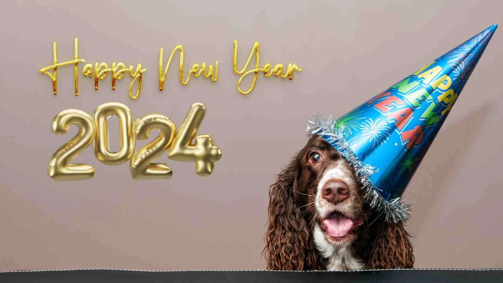 Ideas for Creating Unforgettable New Year Moments with Your Pets
