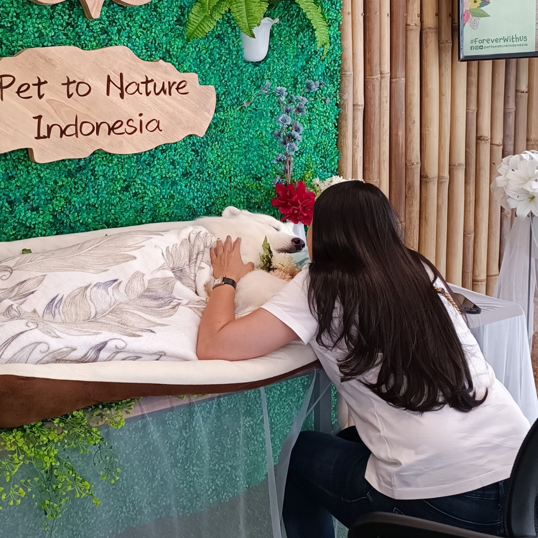 Is Pet Aquamation Medically and Environmentally Safe? Here’s the Scientific Explanation