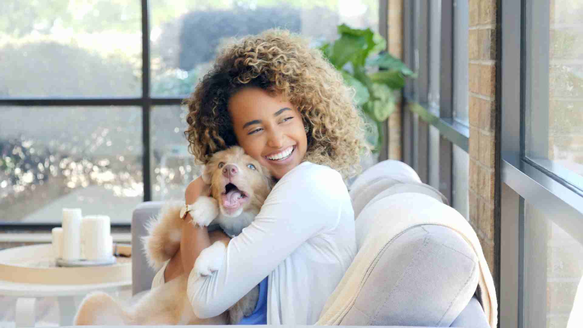 The Healing Power of Pets: Mental Health Benefits