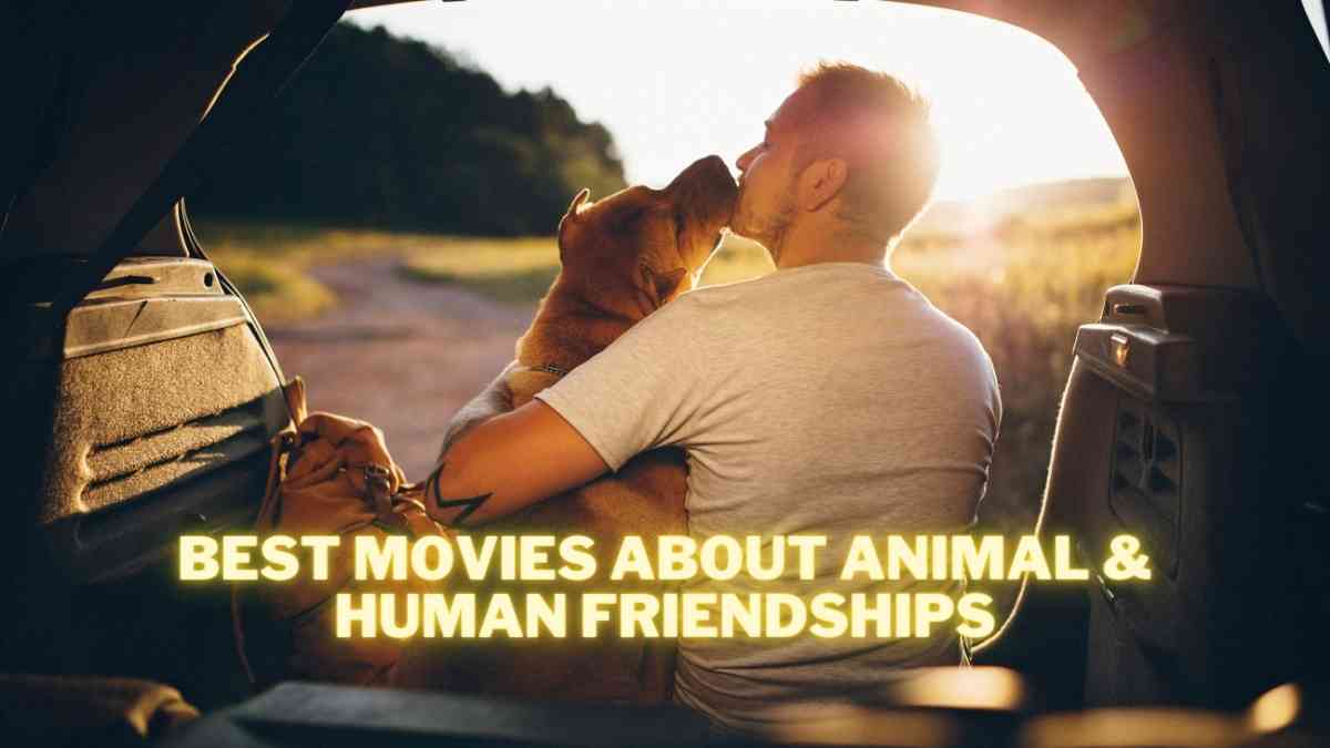 Best Movies About Animal & Human Friendships