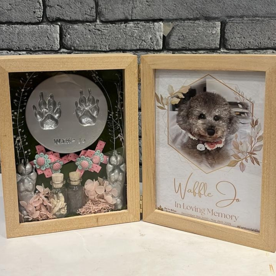 Please Keep My Toy, My Bed, and All Our Memories—They’re in That Little Box Now
