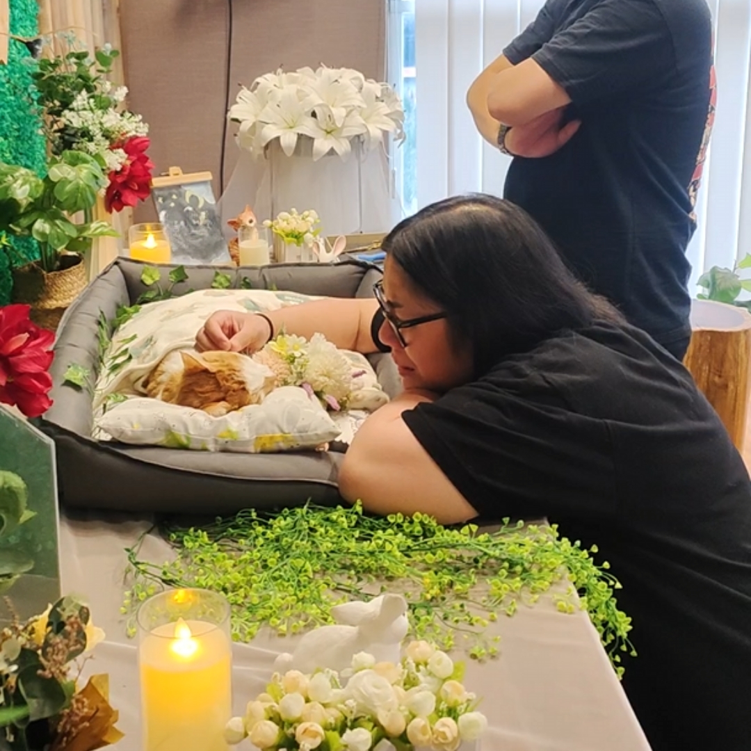 Different Reactions: How Families Cope with Saying Goodbye to Pets