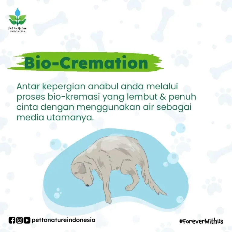 Bio-Cremation