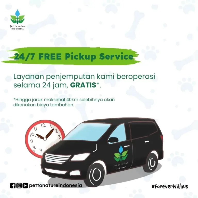 24/7 FREE Pickup Service