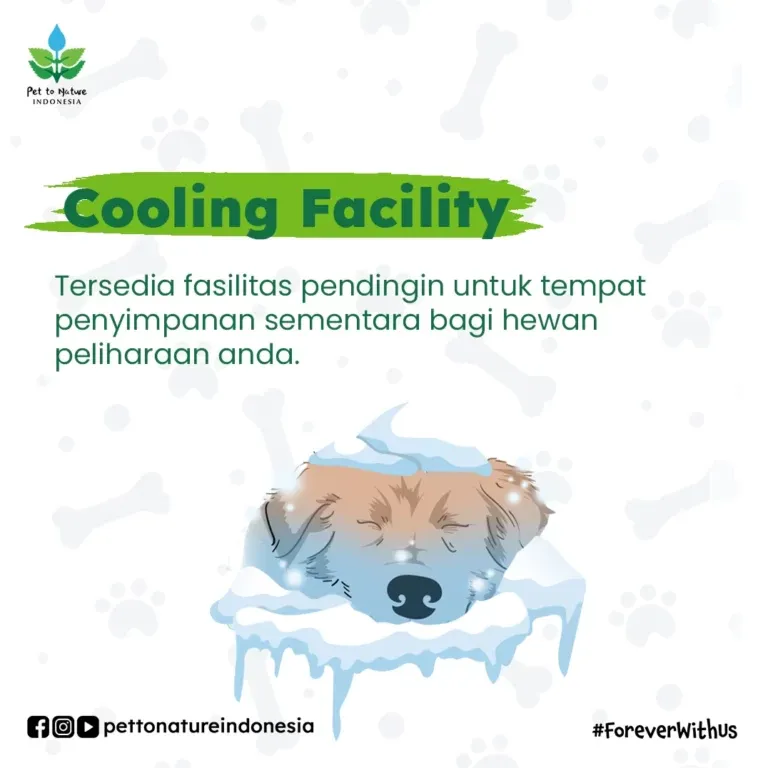 Cooling Facility
