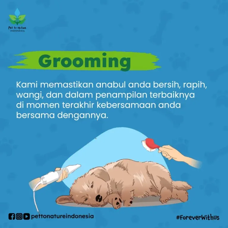 Grooming