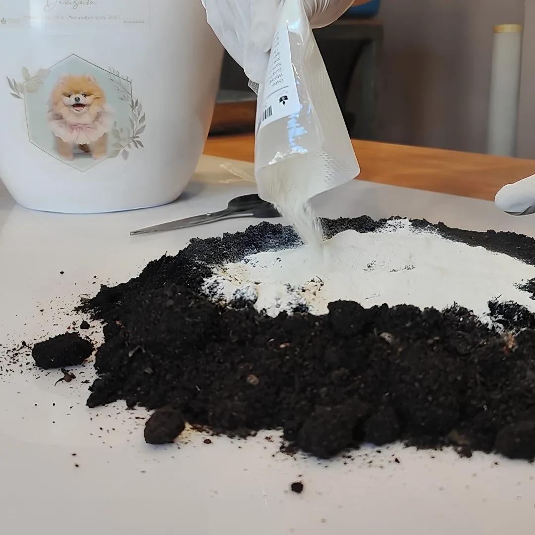 Does Pet Aquamation Produce Ashes Like Flame Cremation? Here’s How It Works