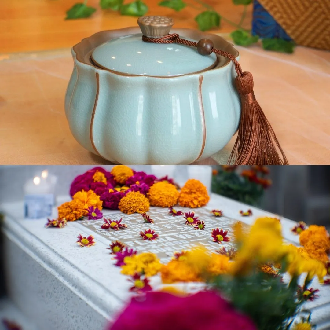 Pet Aquamation vs Burial: Which Option Is Safer and More Responsible?