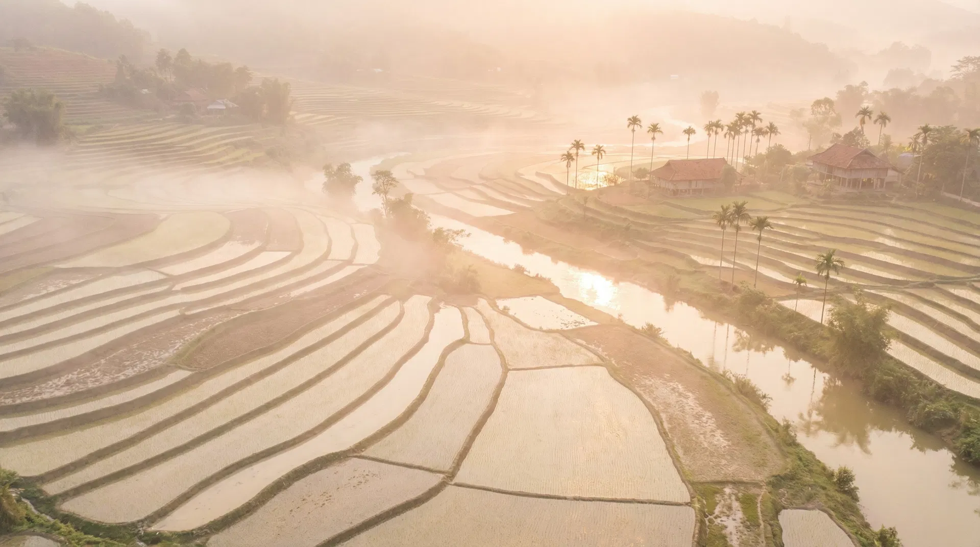 Thiên nhiên Việt Nam