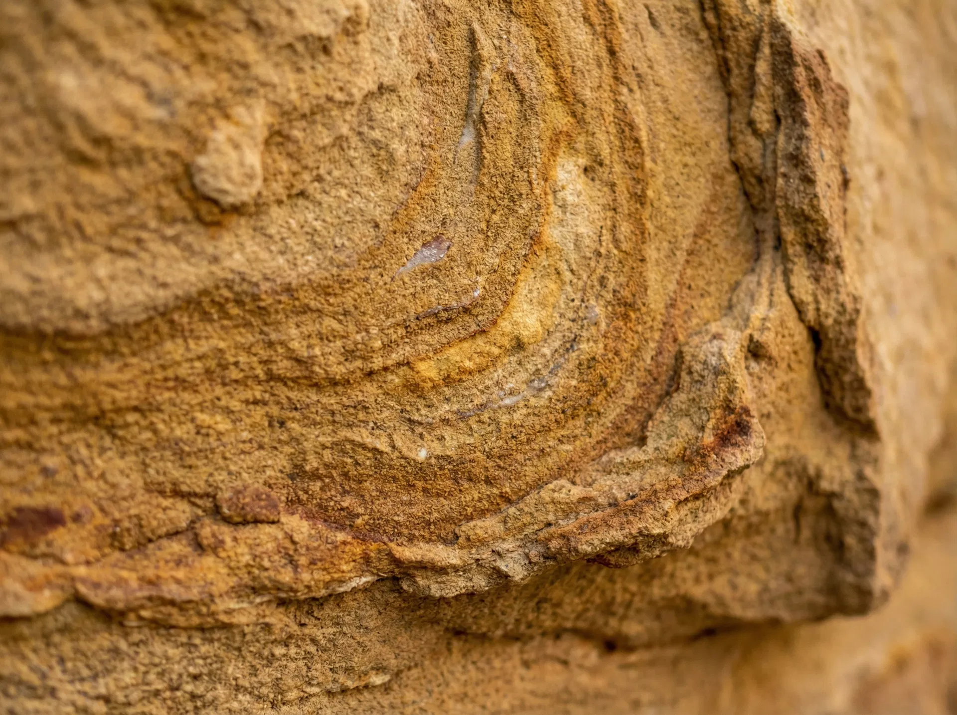 Detailaufnahme einer historischen Sandsteinfassade in München