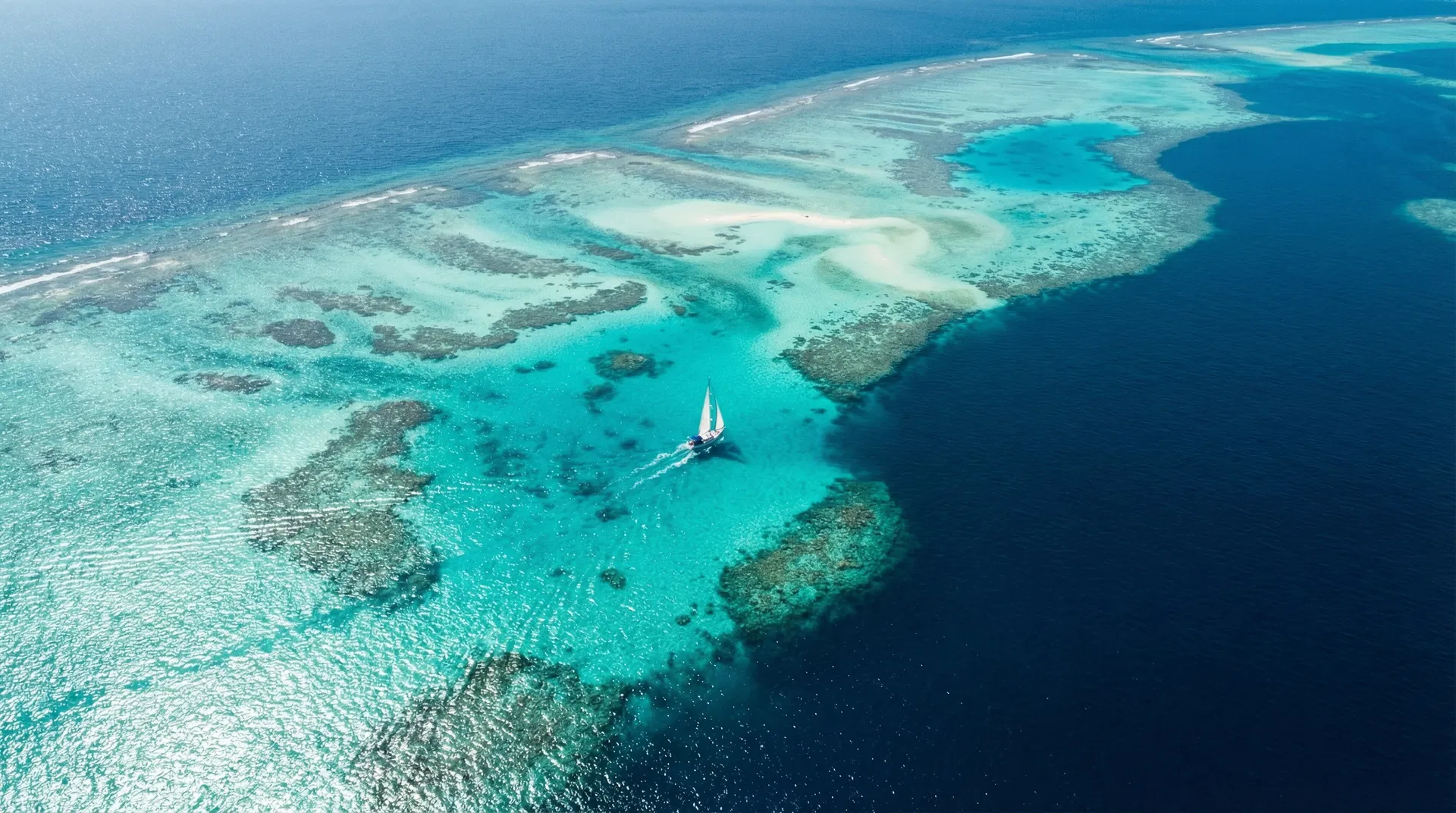 Voice of the Oceans expedition