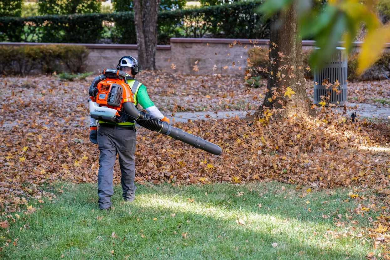 Leaf Blower 75.6 cc 2