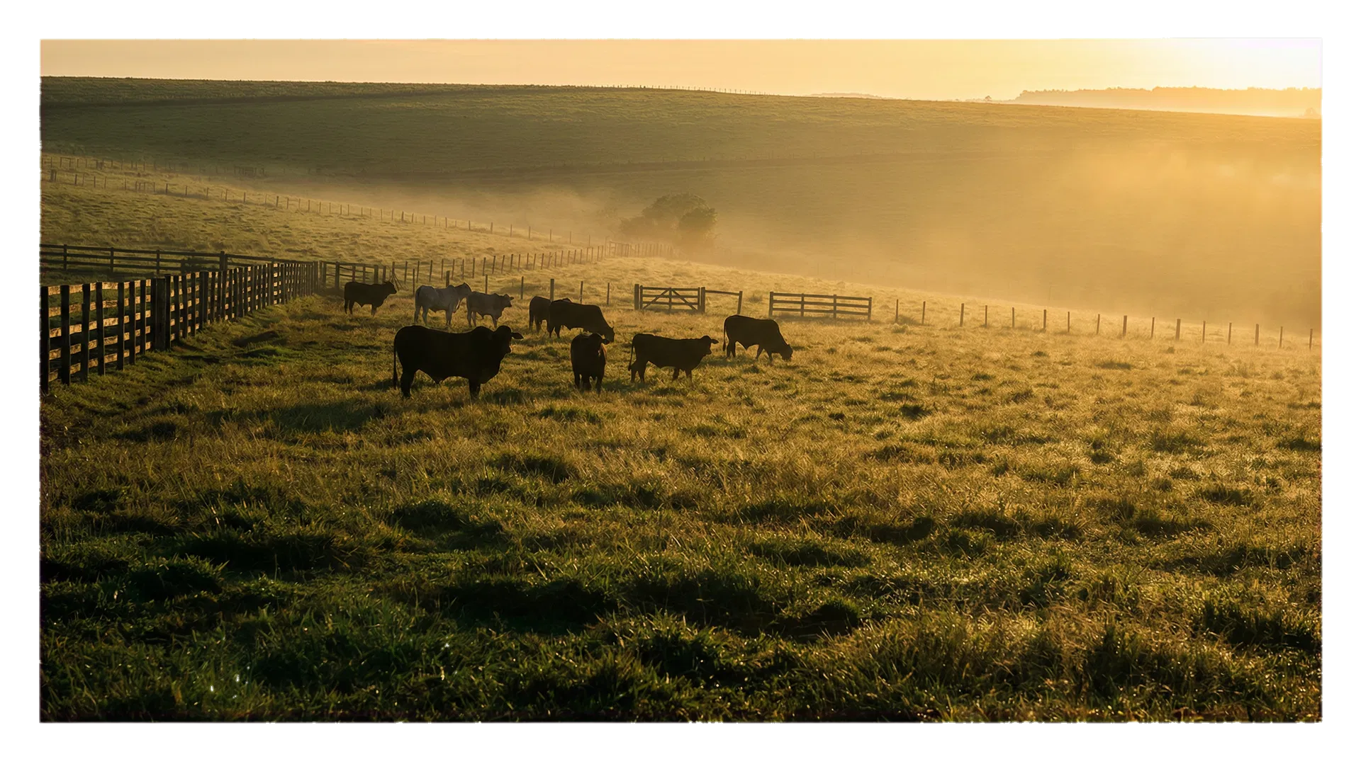 Paisagem de fazenda premium