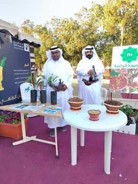 جناح جمعية الآثار والتاريخ بنجران (جاتن)