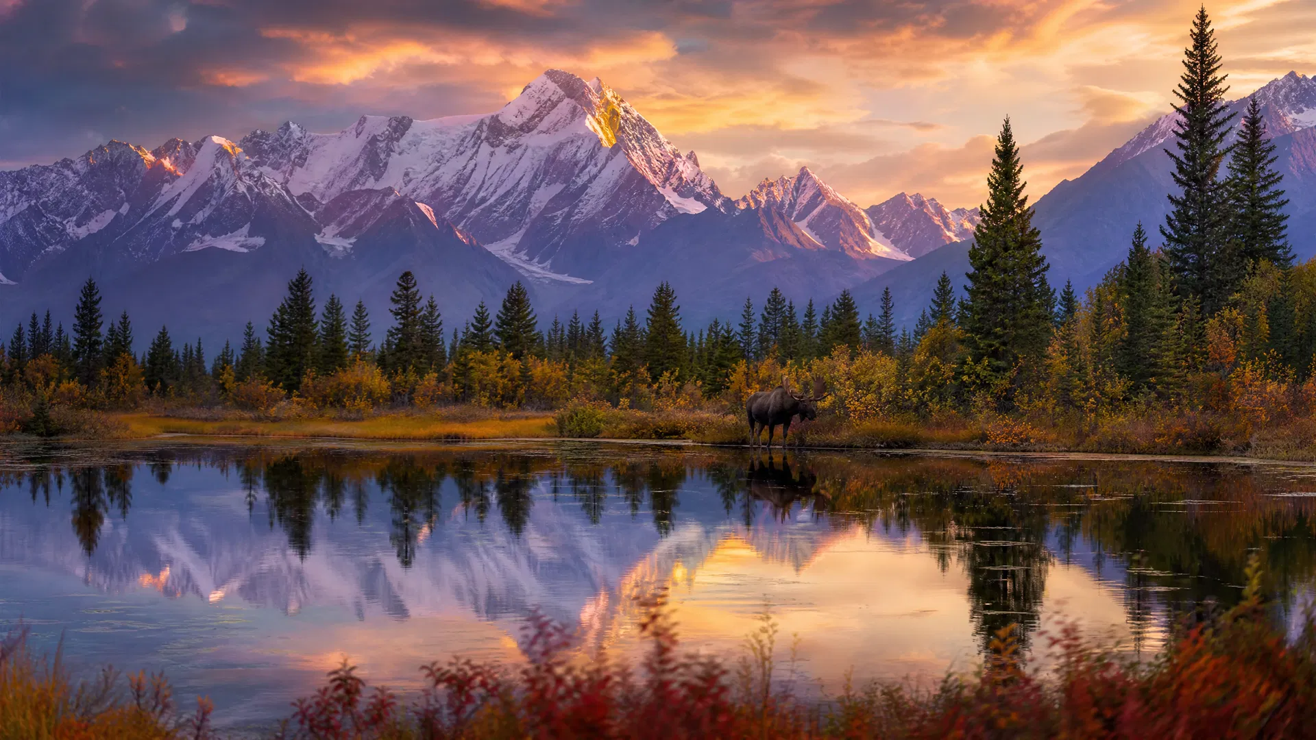 Alaska wilderness