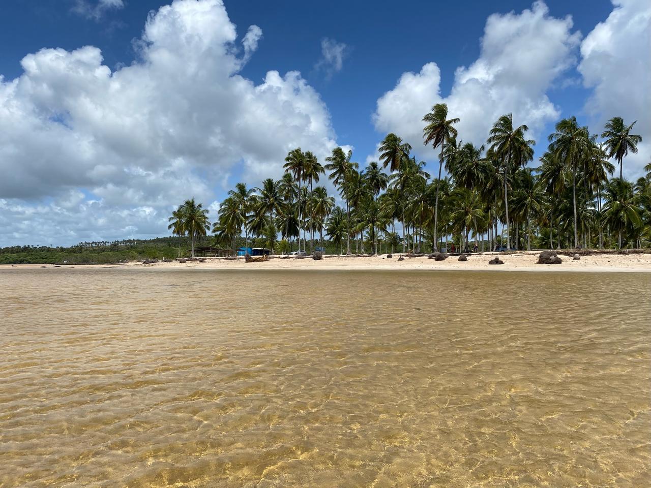Maceio