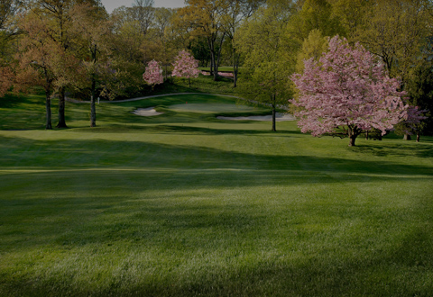 Overview of the lush green fairways and mature trees at Suburban Golf Club in Union, New Jersey