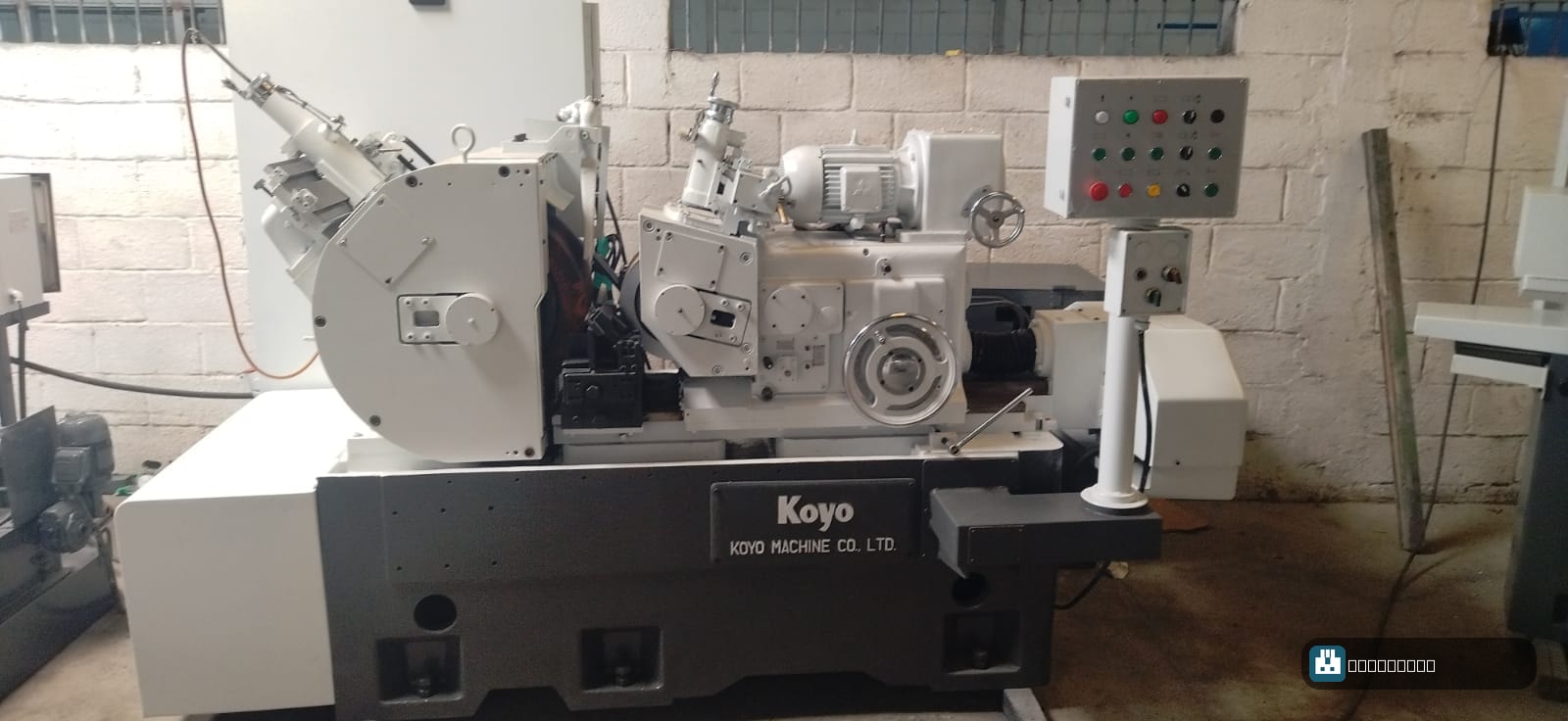 Koyo Koyo — foto 3