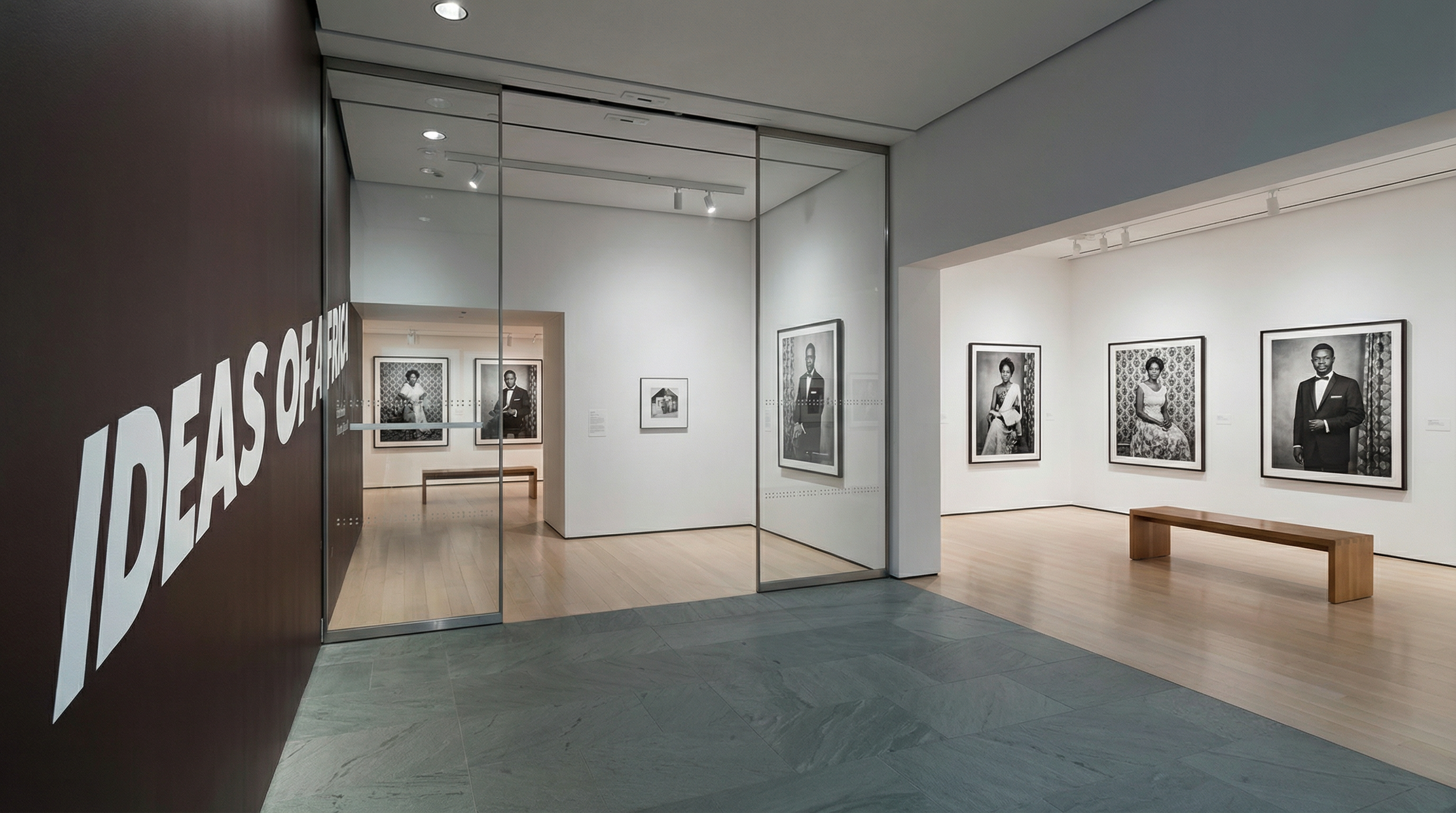 MoMA Ideas of Africa Exhibition