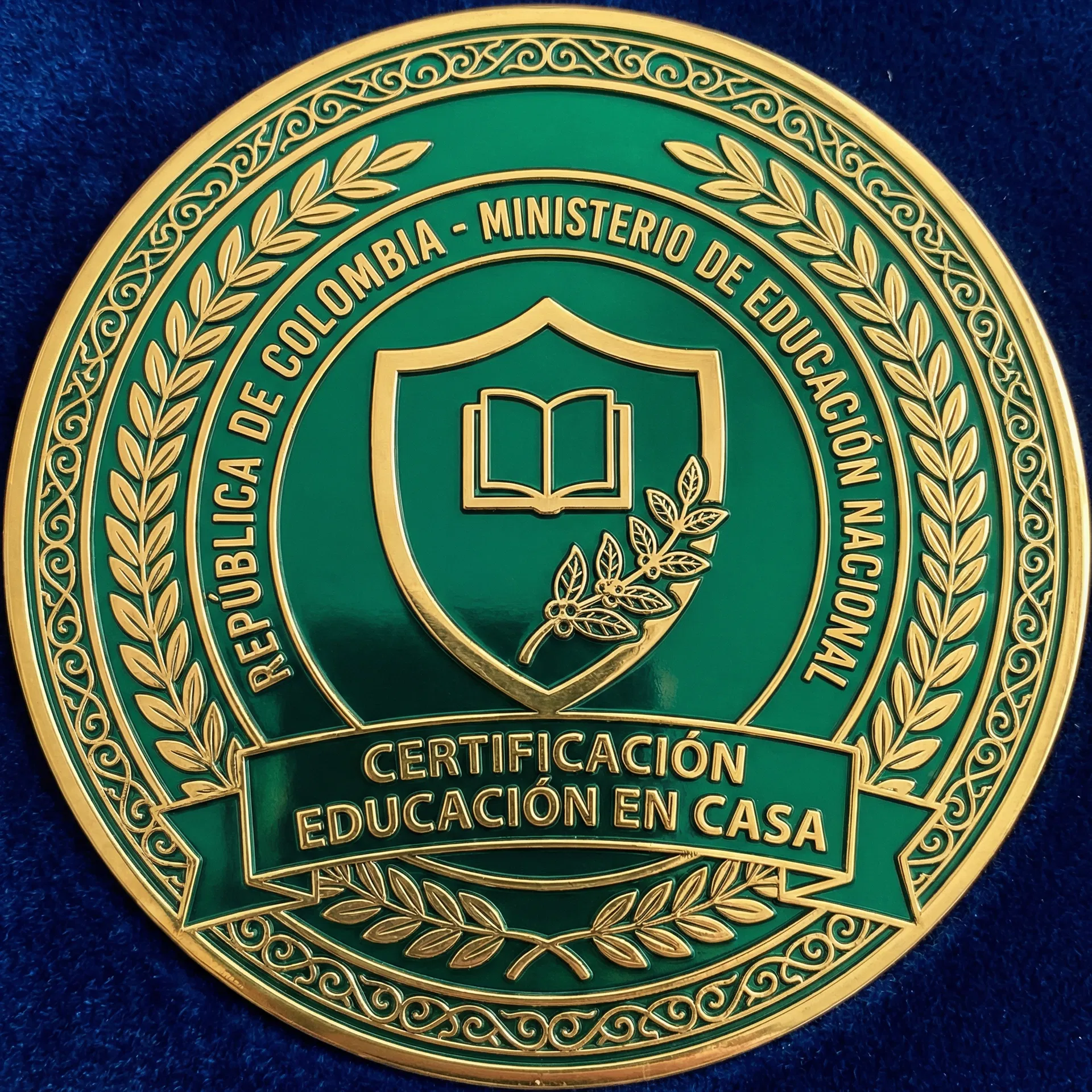 Certificacion Oficial