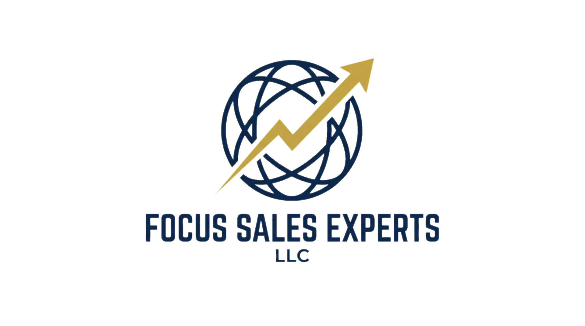 Focus Sales Experts LLC