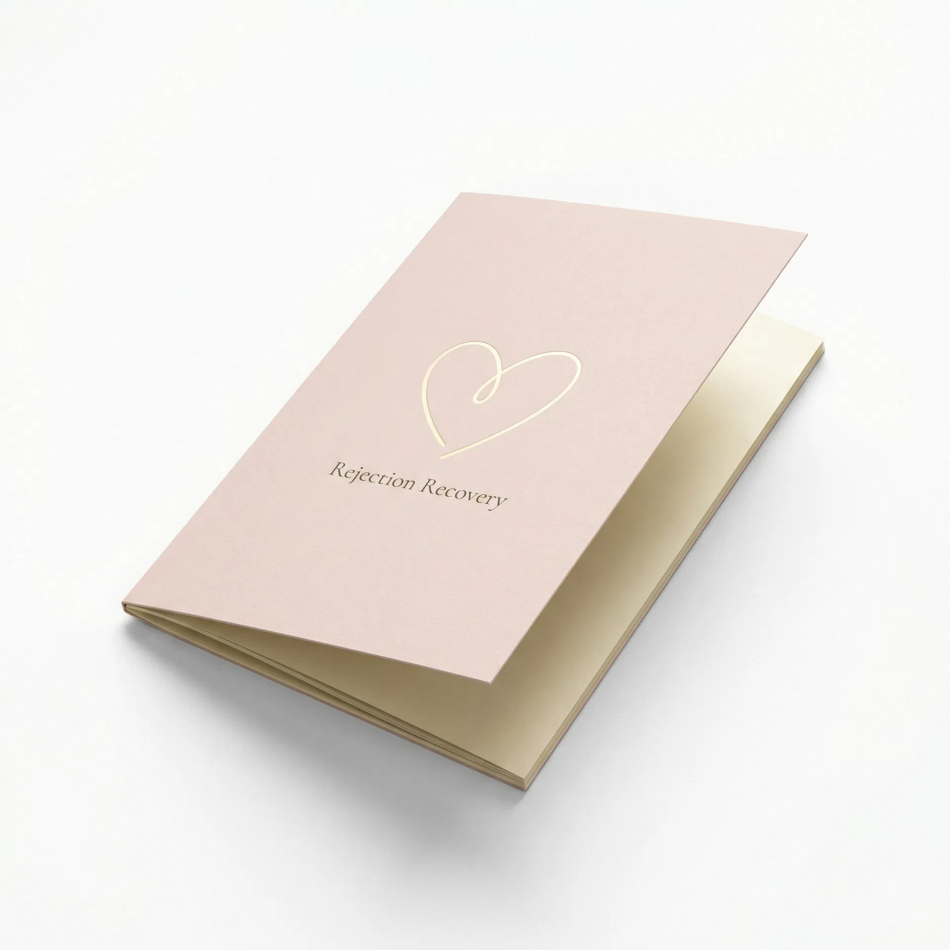 Rejection Recovery Guide