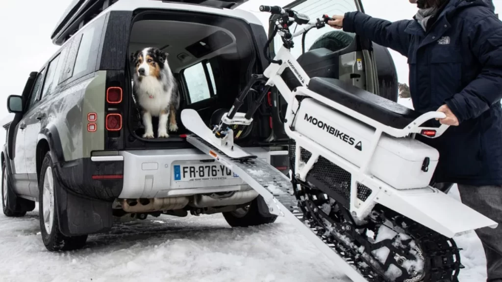 Man, dog, snowmobile.
