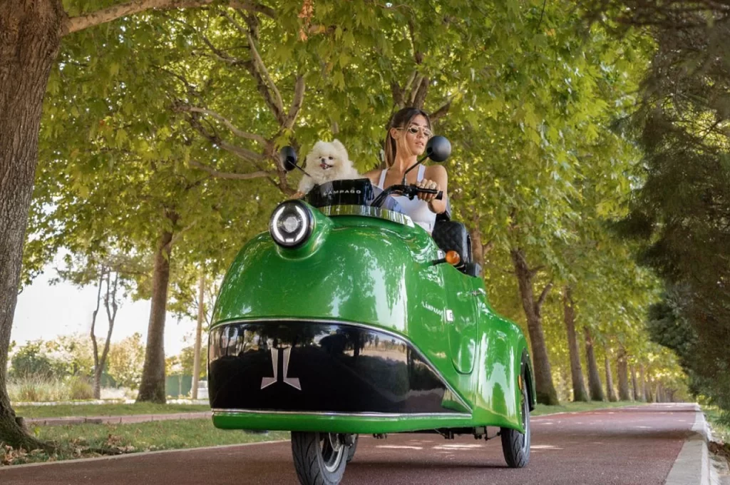 woman, green tricycle, dog