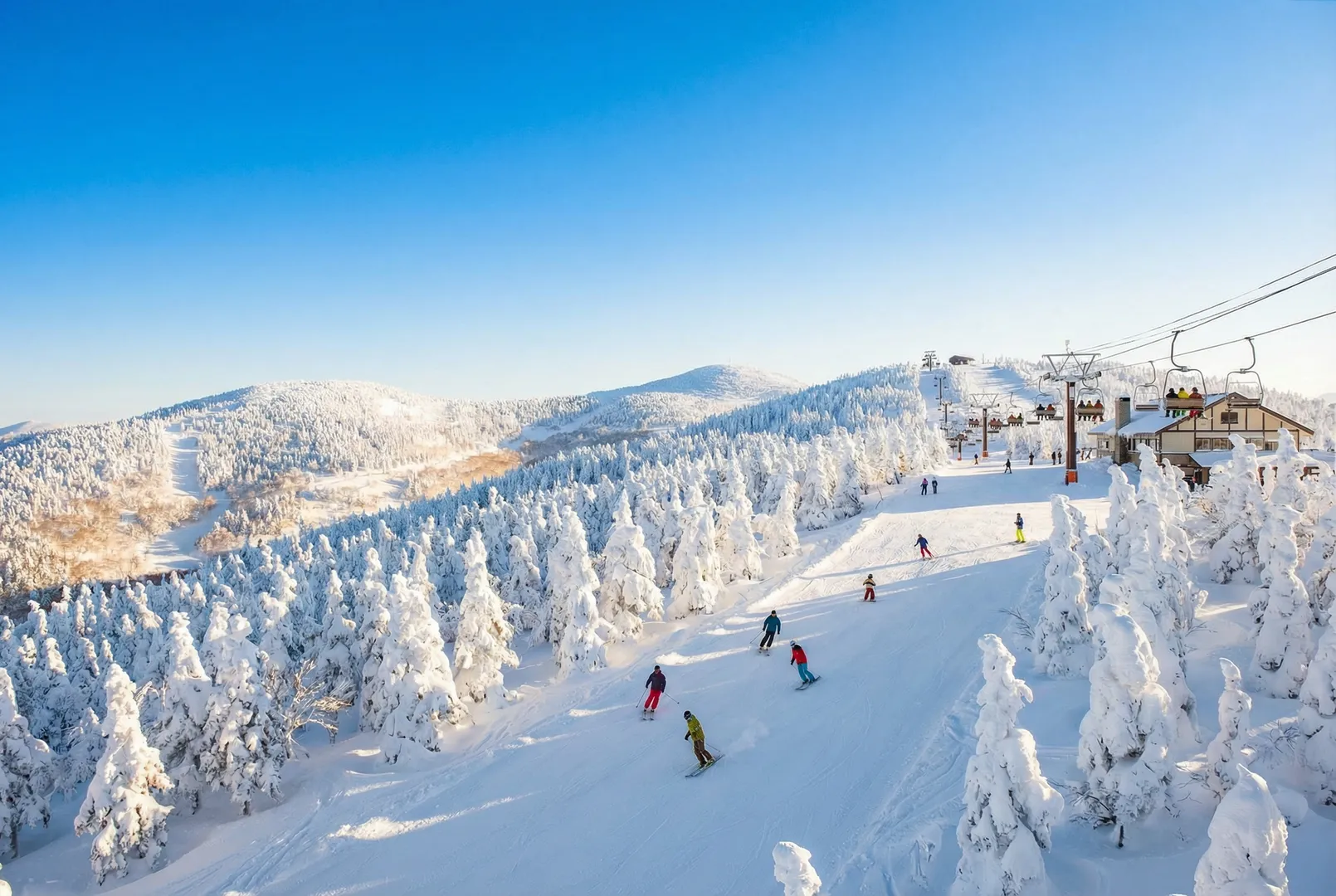 Kurobushi Kogen Snow Park Jangle Jungle ski resort