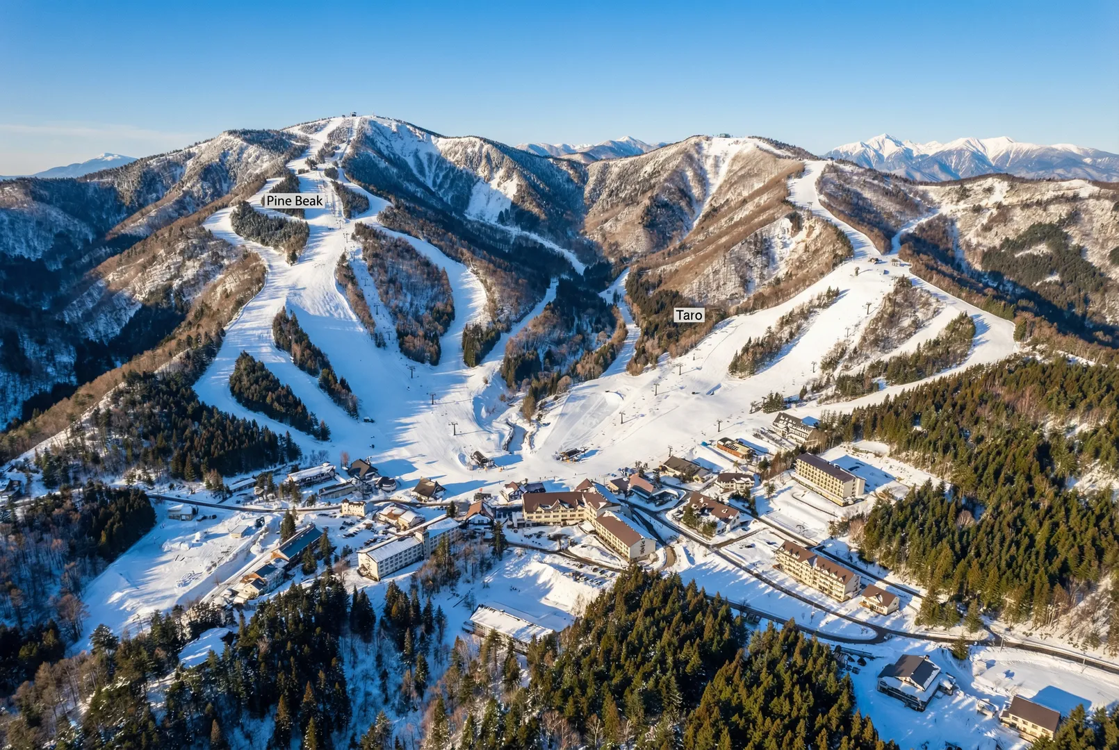 Pine Beak (Sugadaira Kogen) ski resort