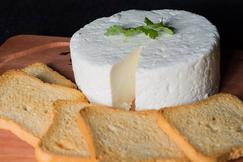 Ricota Sem Tempero 600g ±