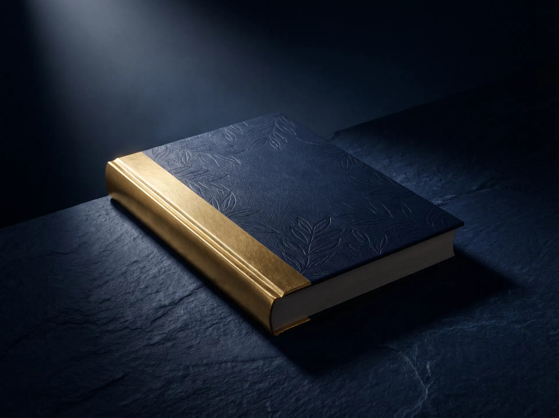 Published book — navy and gold