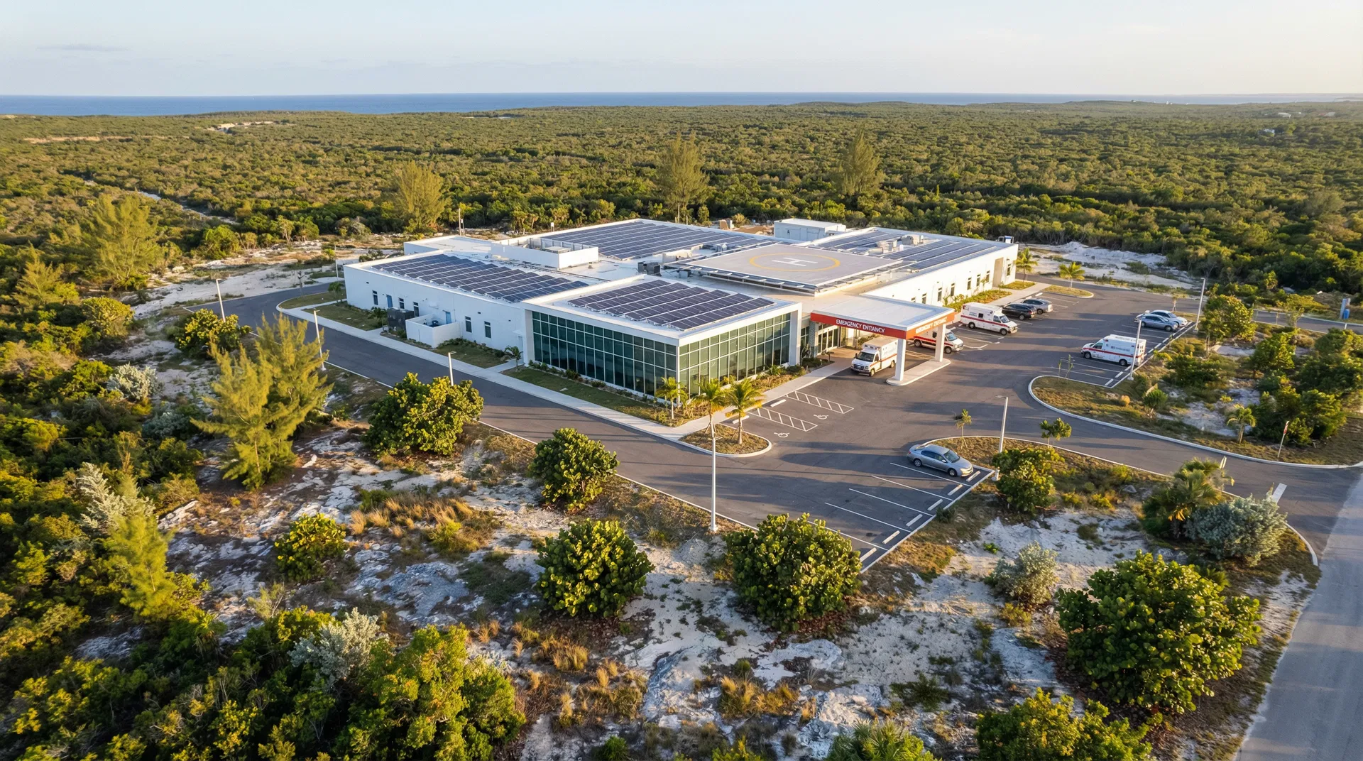 Long Island General Hospital — Aerial