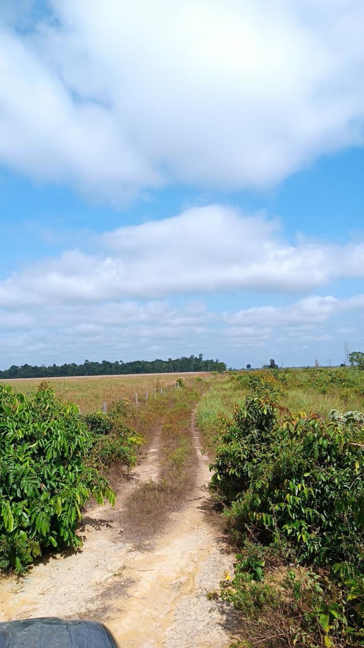 Fazenda de 922 hectares em Tailândia/PA