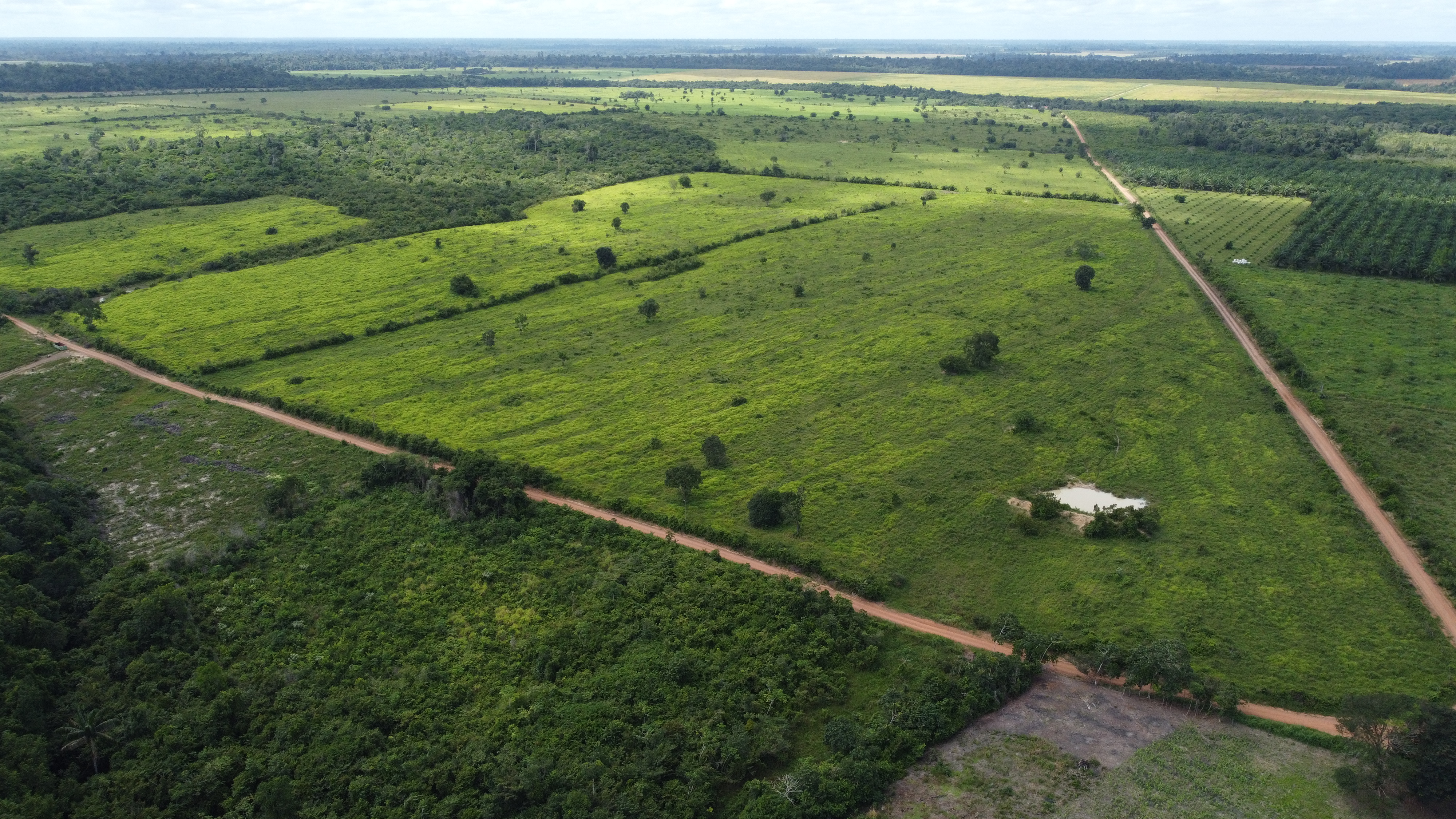 Fazenda com 173 ha em Tailândia-PA