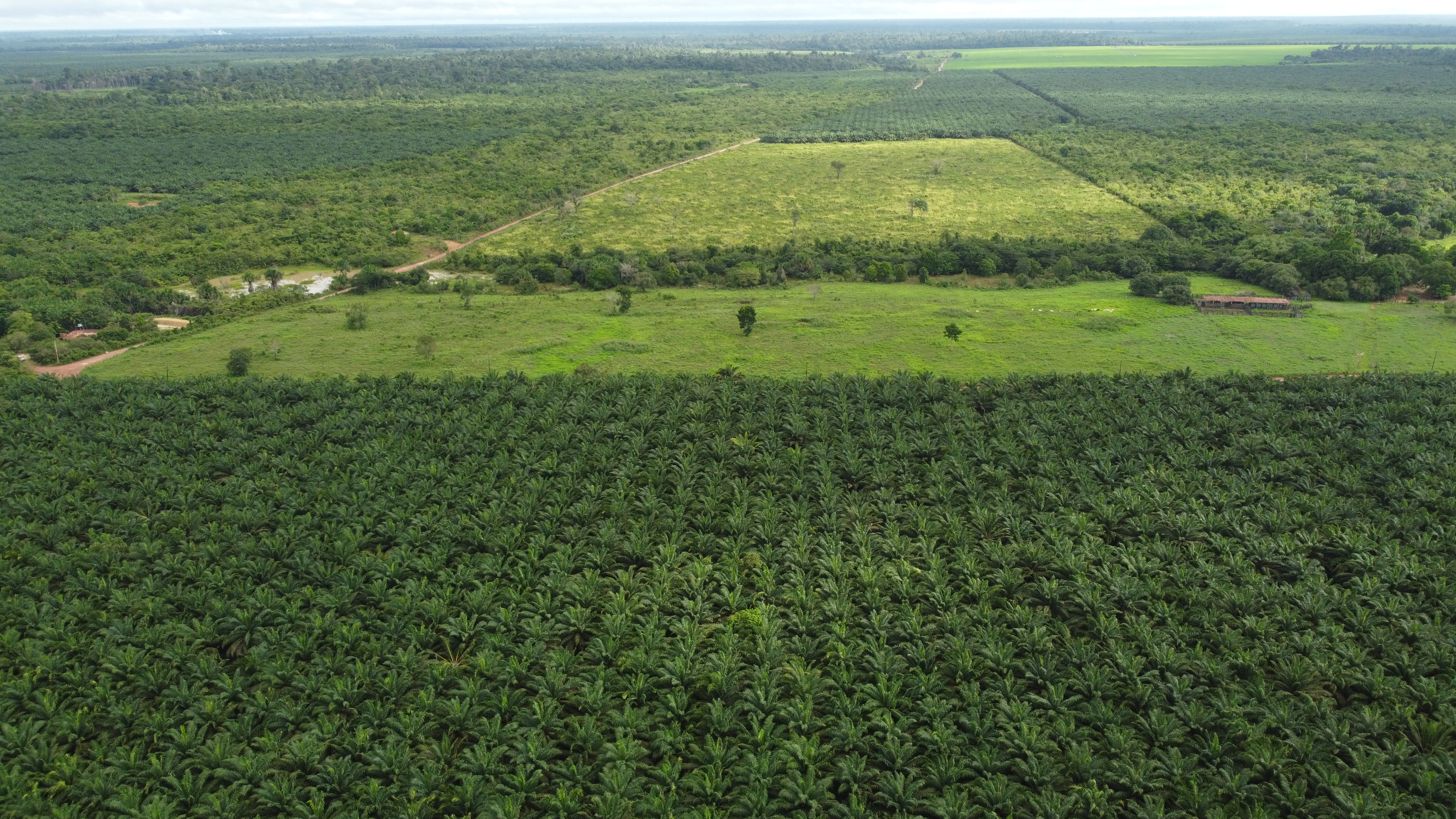 Fazenda de 1.487 hectares em Tailândia/PA