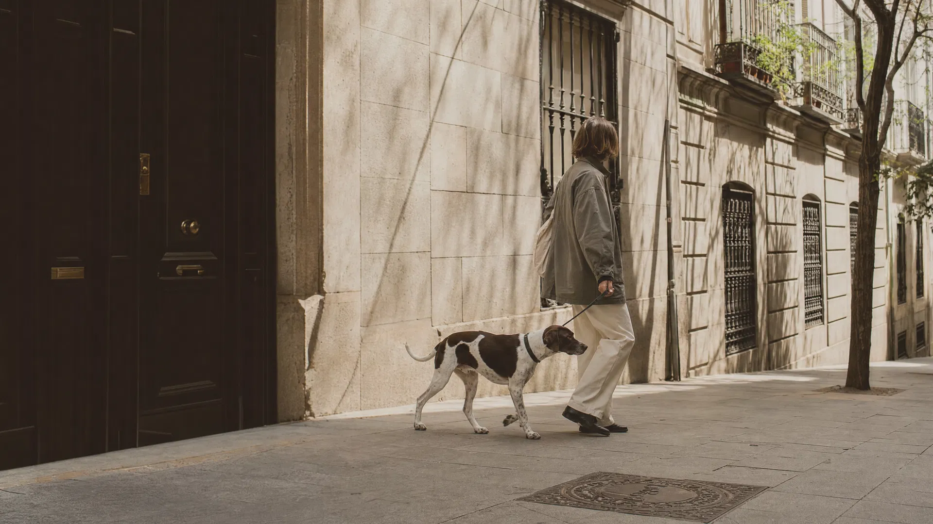 Persona paseando con un perro tranquilo en una calle de Madrid