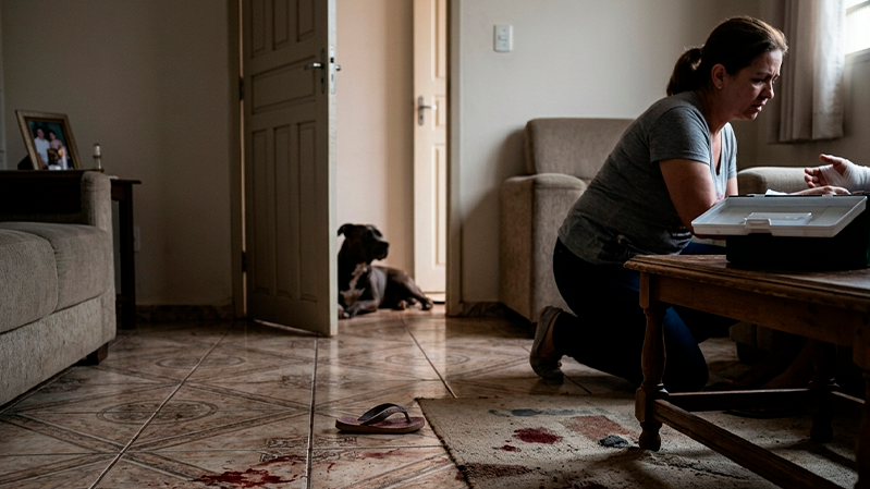 Pitbull ataca moradores e deixa três feridos dentro de residência em Uberlândia
