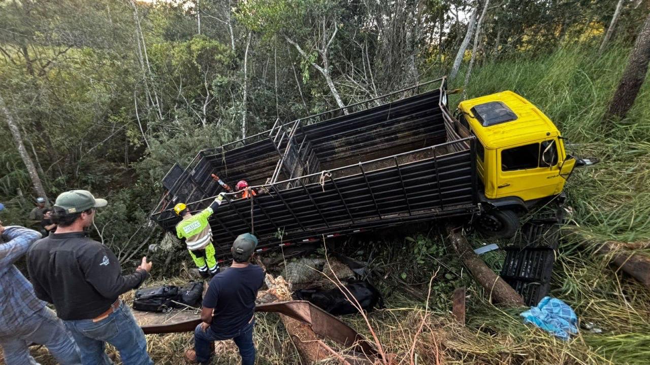 Caminhão carregado com cavalos perde controle e cai em ribanceira em Patrocínio