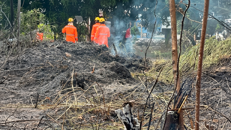 Bombeiros combatem incêndio em área de vegetação no bairro Umuarama