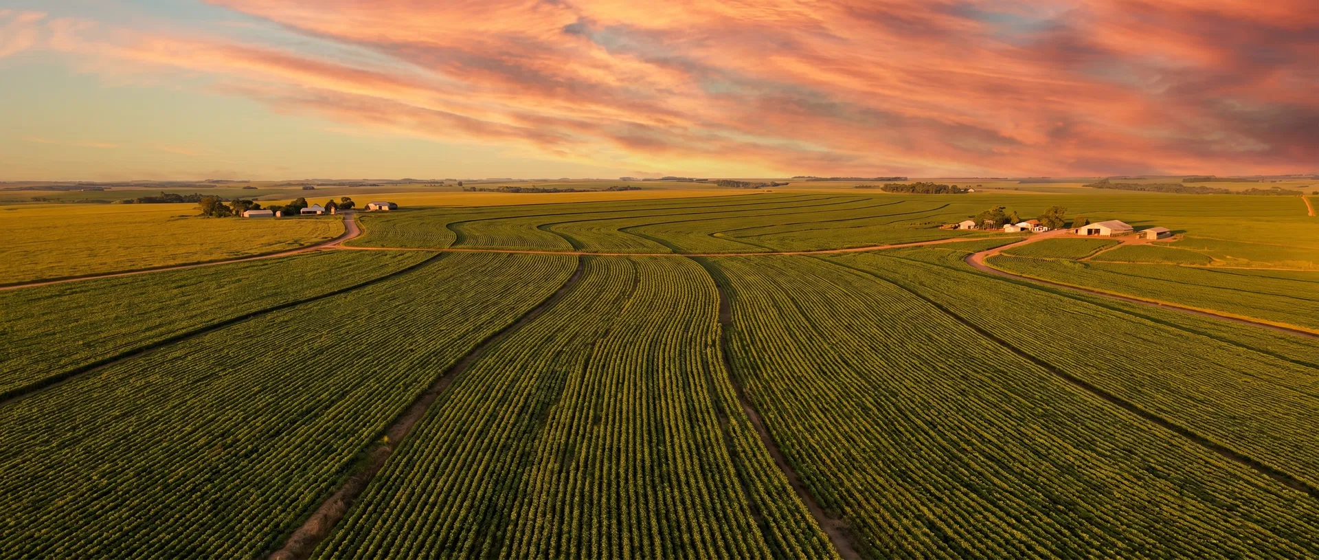 Campos agrícolas brasileiros ao pôr do sol