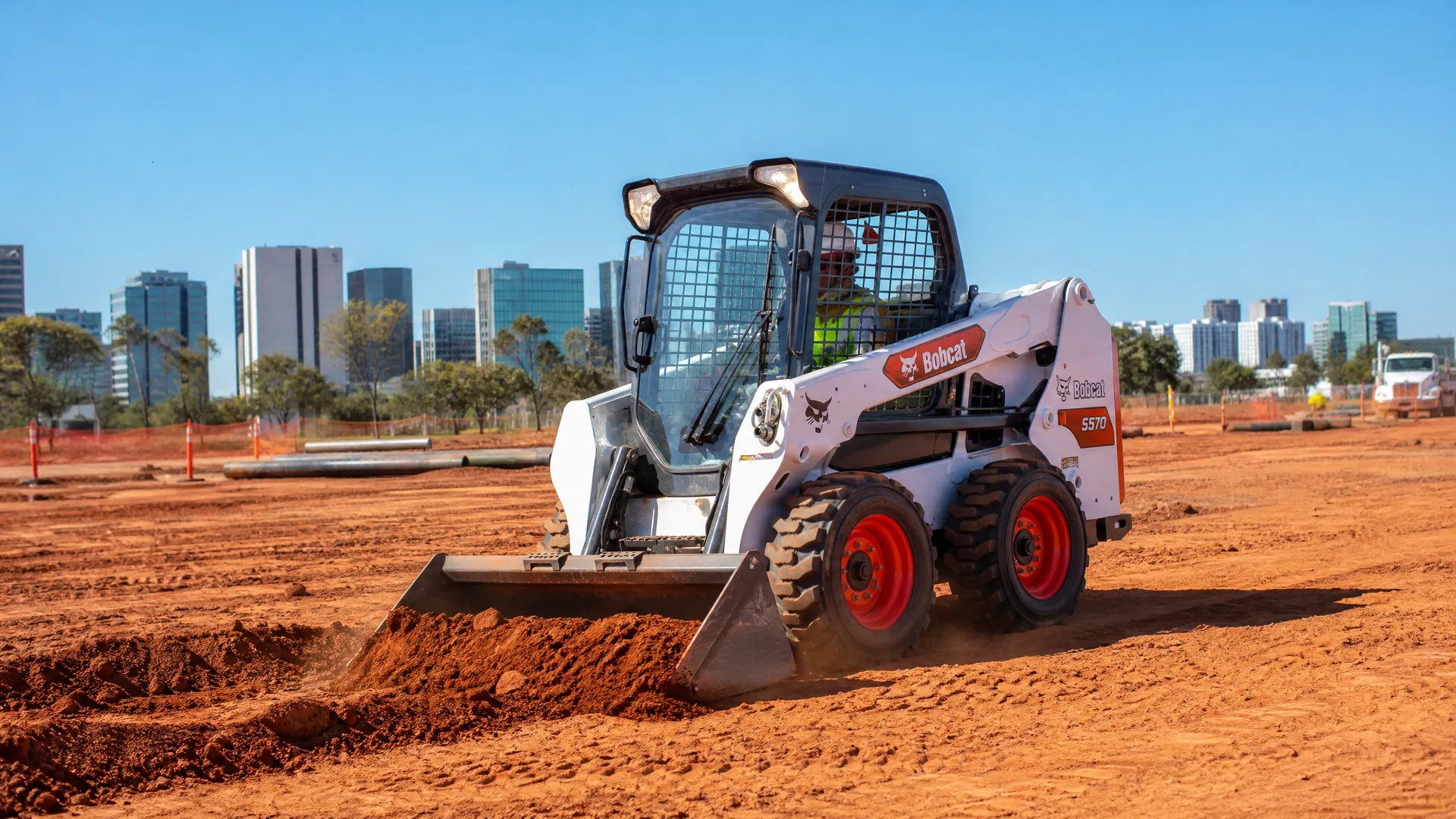 Bobcat