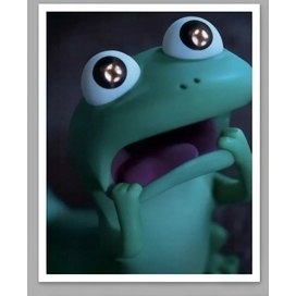 Frog Face