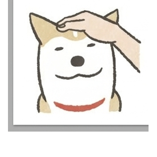Shiba Inu Dog